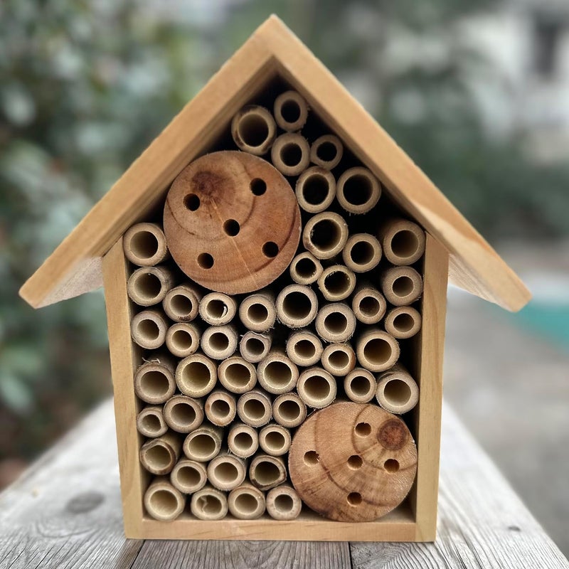 Engree Mason Bee Houses Outdoor Wooden Bee Hotel for Garden and Yard Hand-Made Bamboo Bee Hive for Bees Butterflies and Ladybugs, Medium Size 8"x7.5"x5", Natural Finish - Image 1